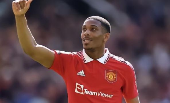 從托莫里 從托莫里