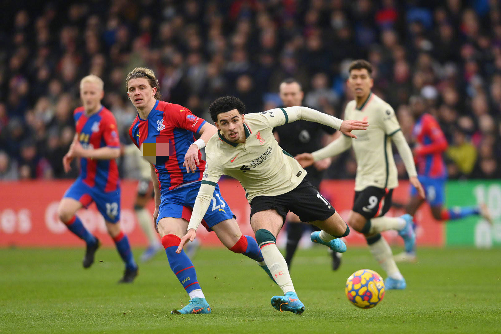 反击也是马 反击也是马